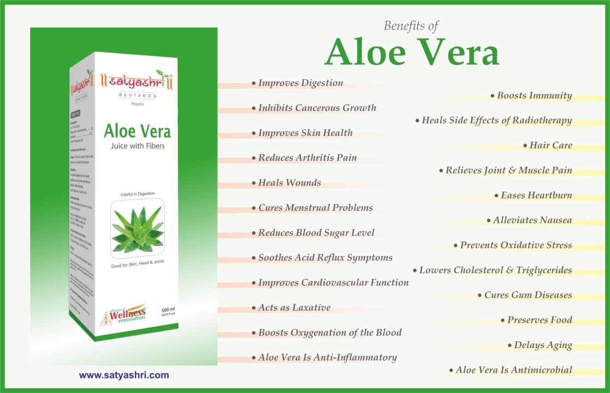 Aloe Vera 500ml - Image 2