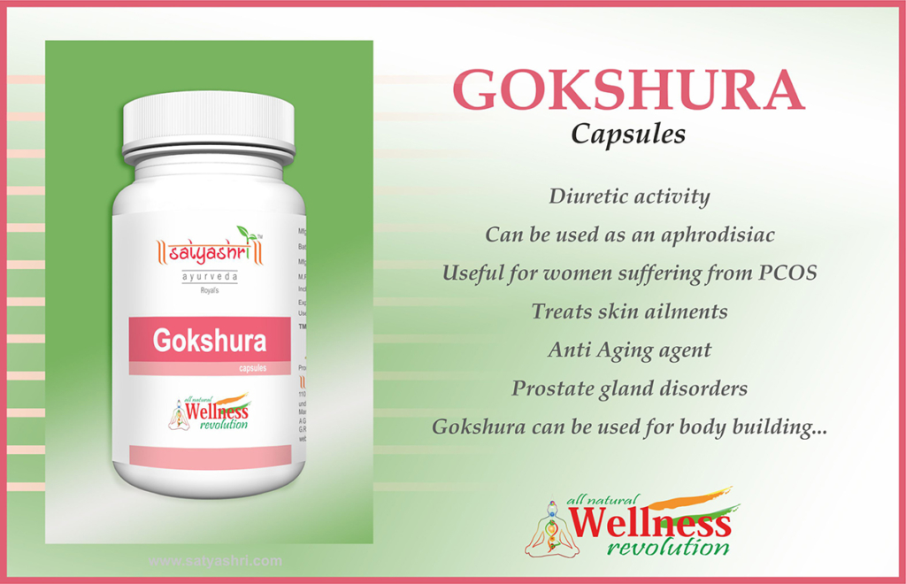 Gokshura Capsule (60) - Image 2