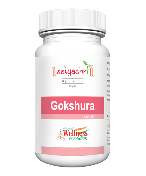 Gokshura Capsule (60)
