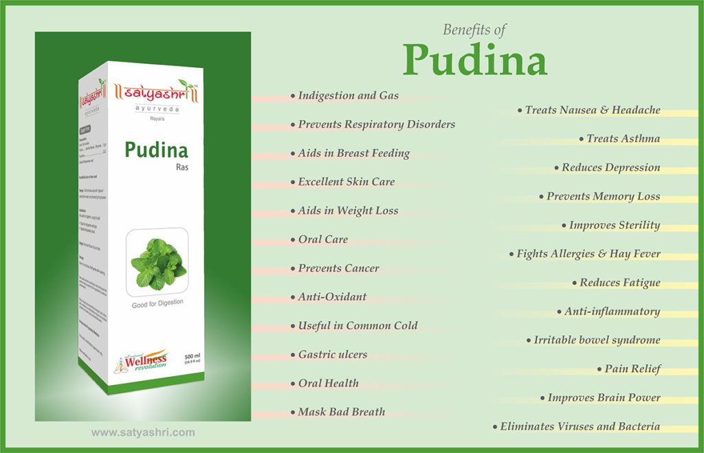 Pudina Ras 500ml - Image 2