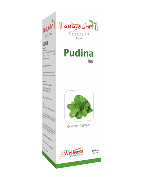 Pudina Ras 500ml
